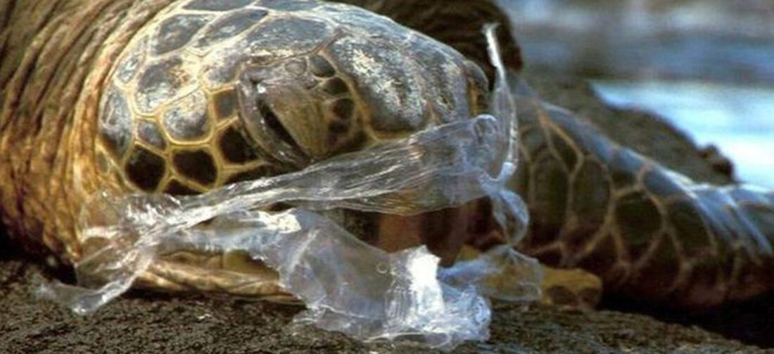 RIDUCI IL CONSUMO DI PLASTICA