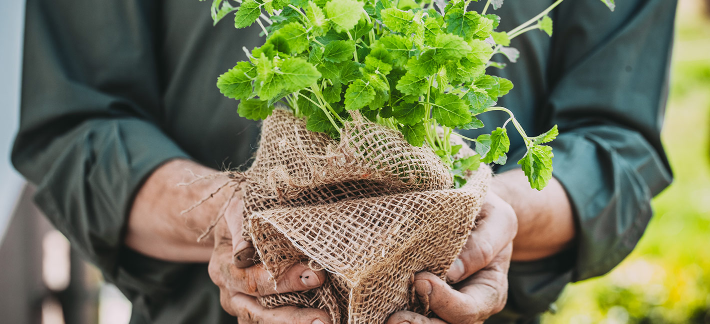 Consumatori consapevoli Vegon