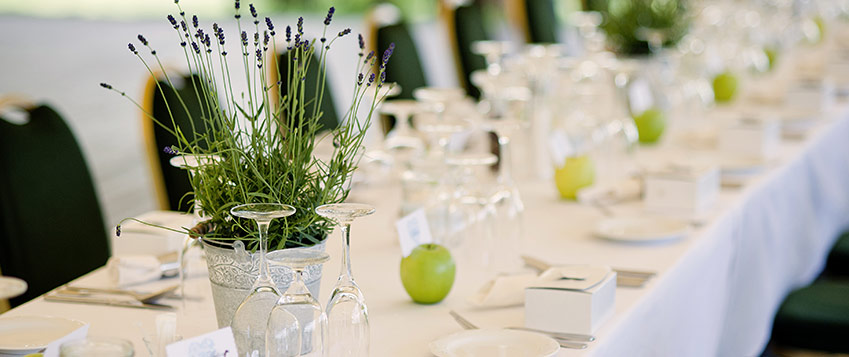 Partecipazioni bomboniere green sostenibili