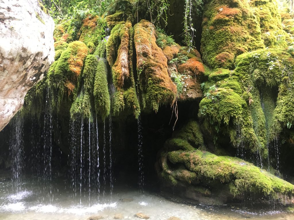 Capelli di Venere, Cilento
