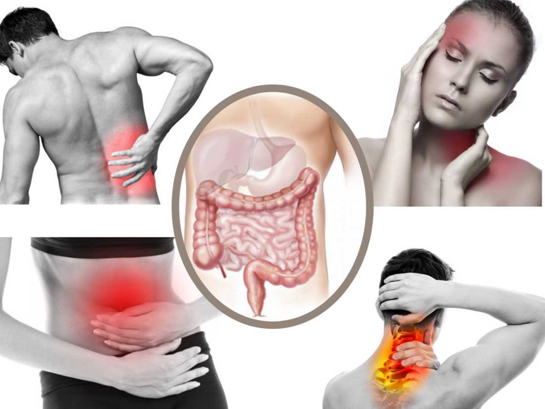 Disturbi muscolo-scheletrici associati all’intestino