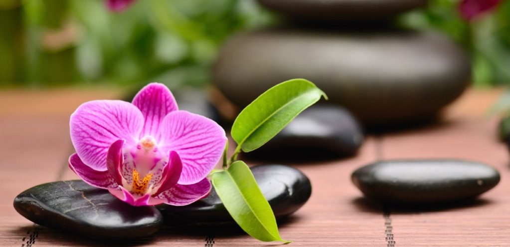 Domenica del Benessere